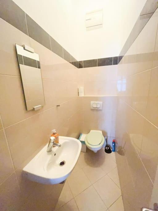 Spacious In A Vibrant Center Apartament