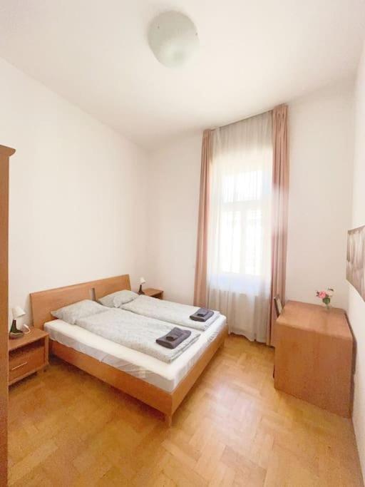 Spacious In A Vibrant Center Apartament