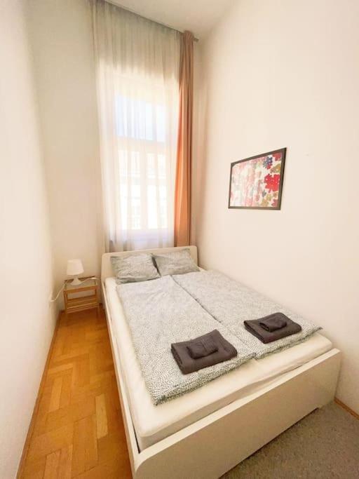 Spacious In A Vibrant Center Appartement *