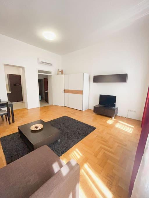 Appartement Spacious In A Vibrant Center
